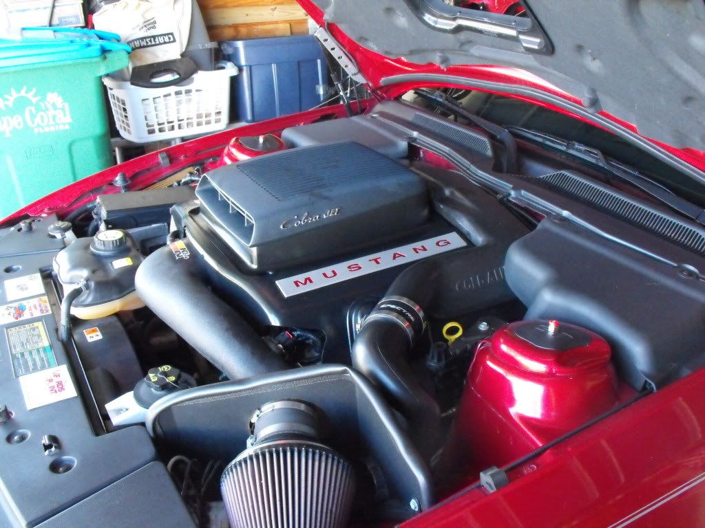 cdc shaker hood....???? - Mustang Evolution